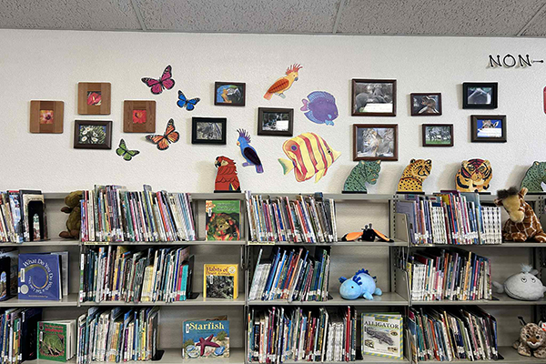 Book shelves in Cragin's school library